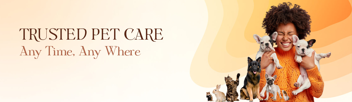Compassionate Care for Your Furry Friends