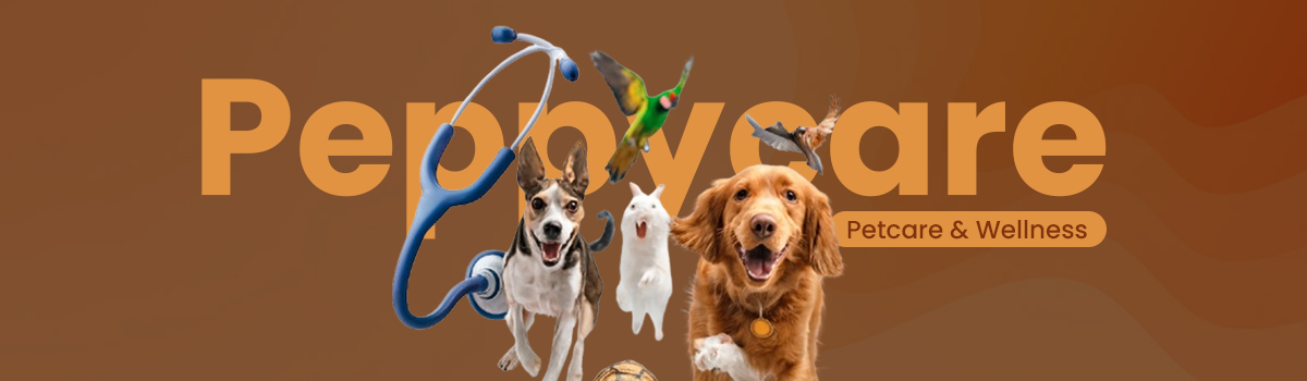 Building Lifelong Bonds Between Pets and Their People