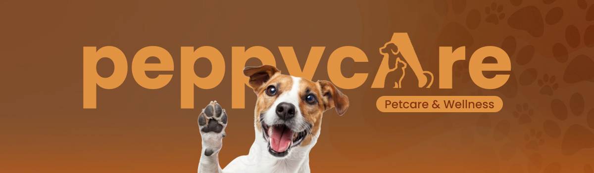 Expert Veterinary Care Tailored to Your Pet