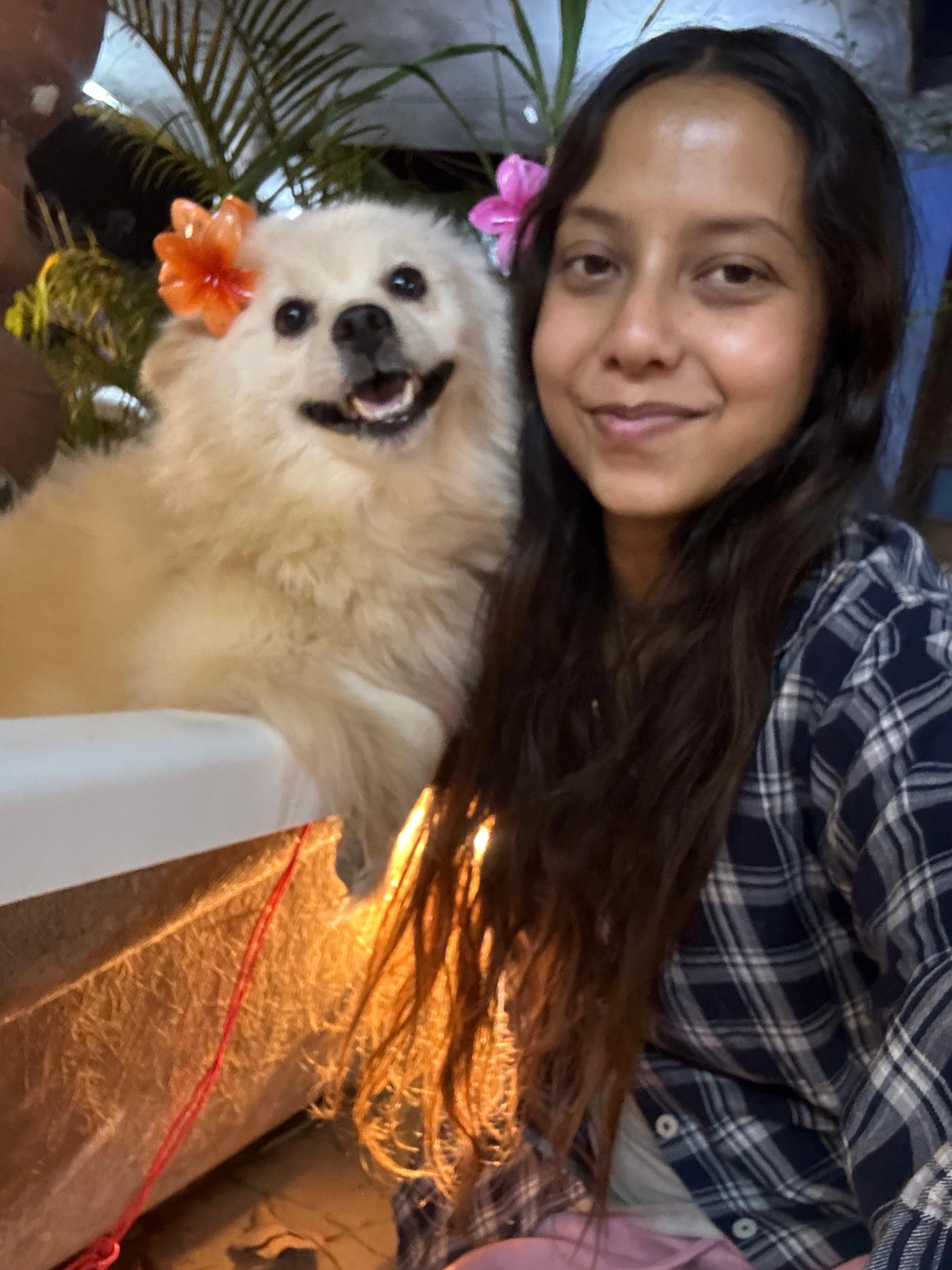 Pet Jungle Hyderabad 