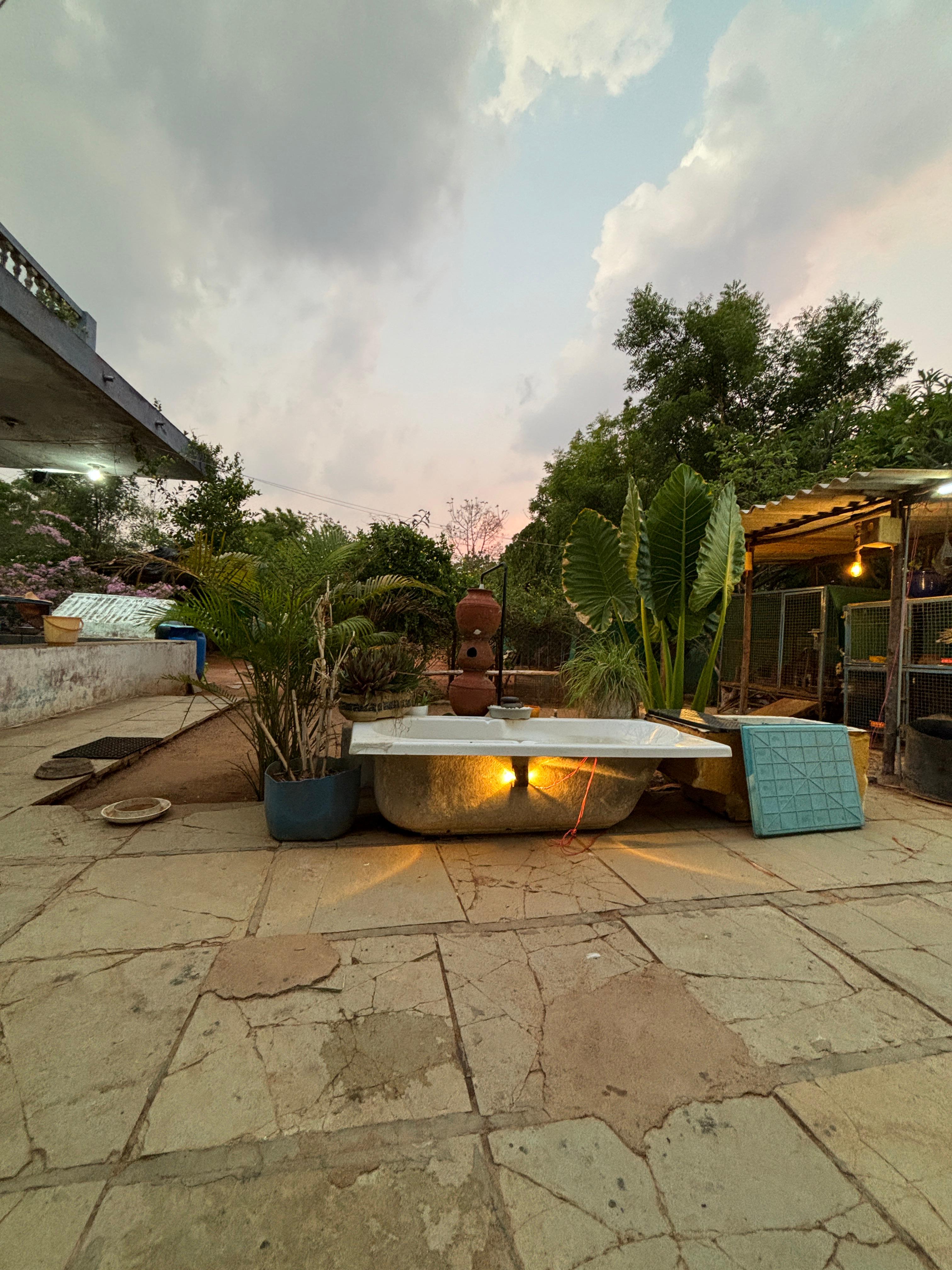 Pet Jungle Hyderabad