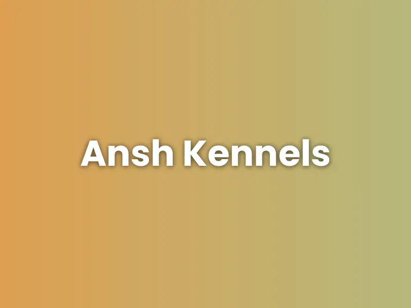 Ansh Kennels