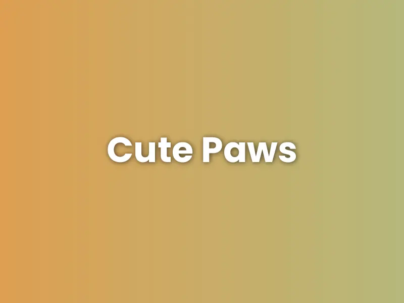 Cute Paws