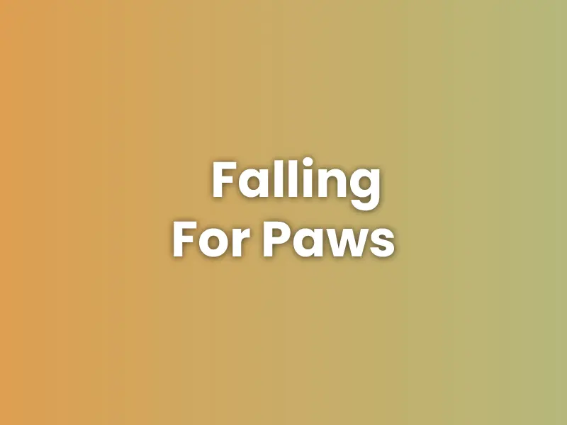 Falling For Paws