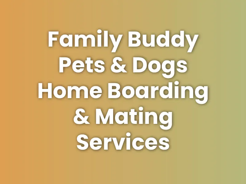 Family Buddy Pets & Dogs Home Boarding & Mating Services