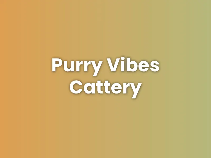 Purry Vibes Cattery