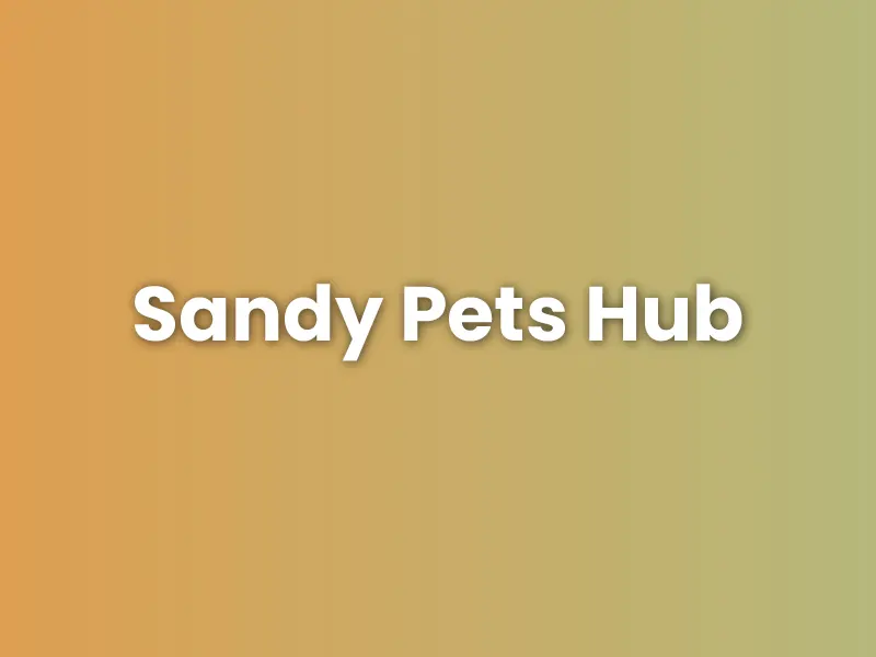 Sandy Pets Hub