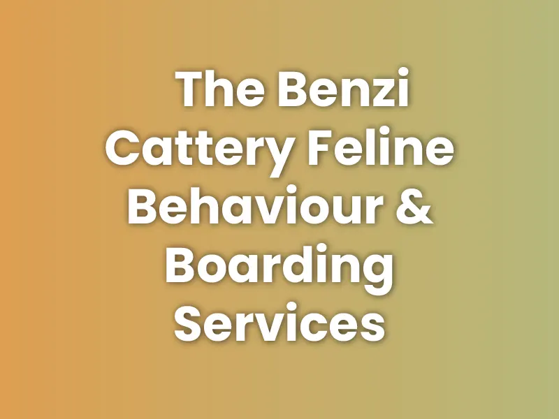 The Benzi Cattery