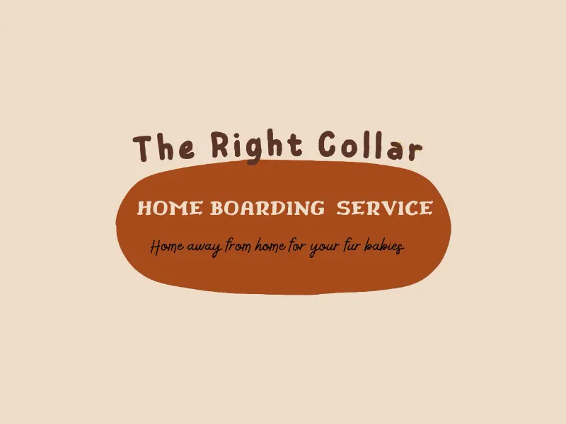 The Right Collar Home Boarding