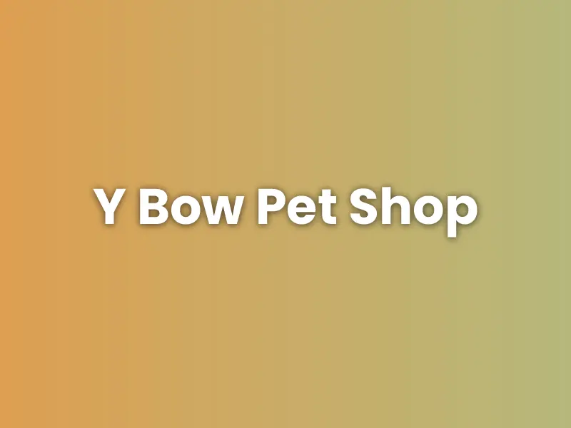 Y Bow Pet Shop