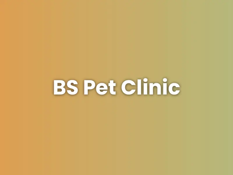 BS Pet Clinic