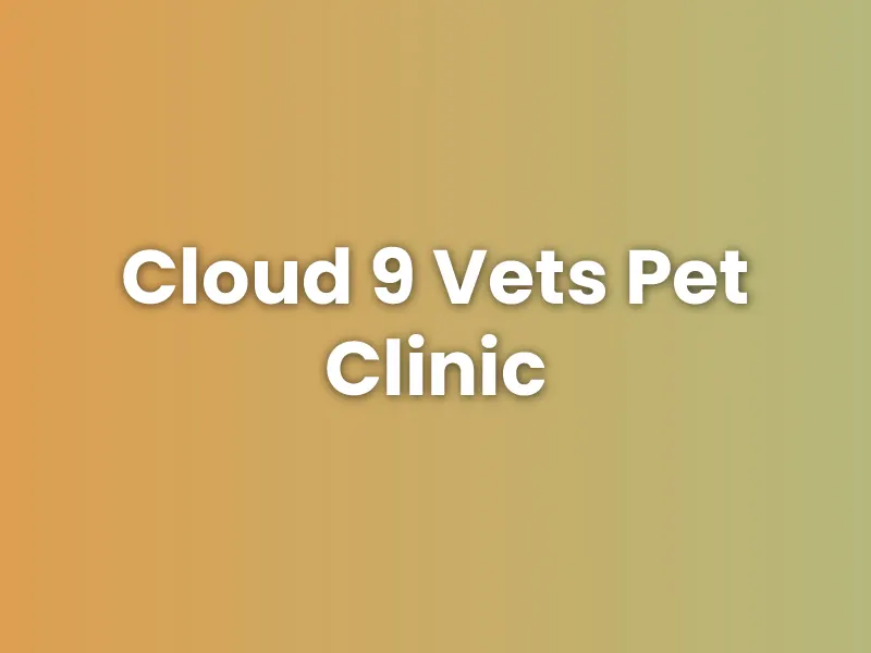 Cloud 9 Vets Pet Clinic