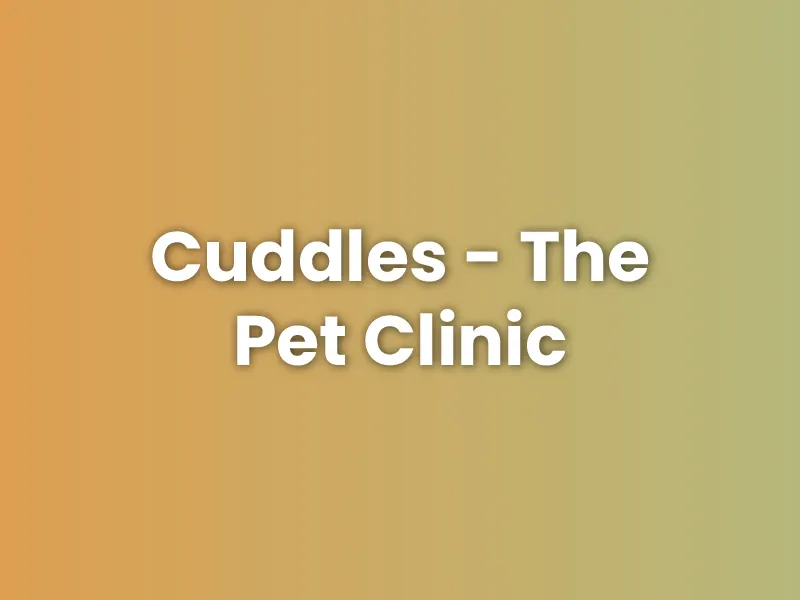 Cuddles - The Pet Clinic