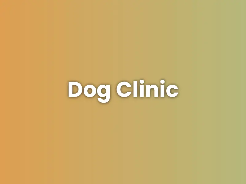 Dog Clinic