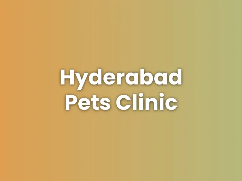 Hyderabad Pets Clinic