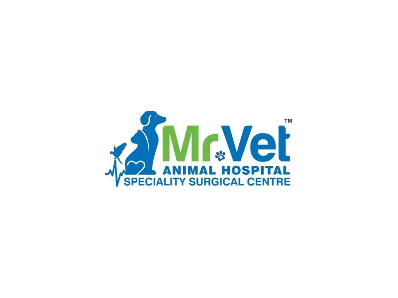 Mr. Vet Animal Hospital