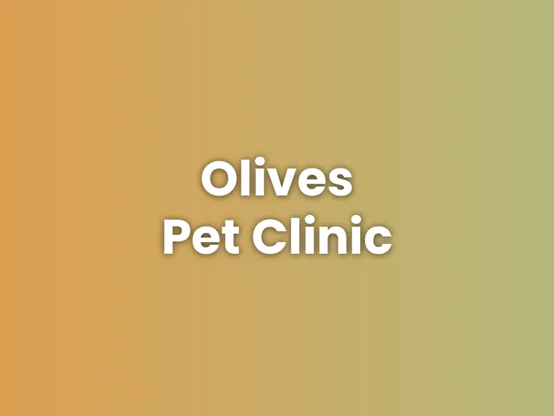 Olives Pet Clinic