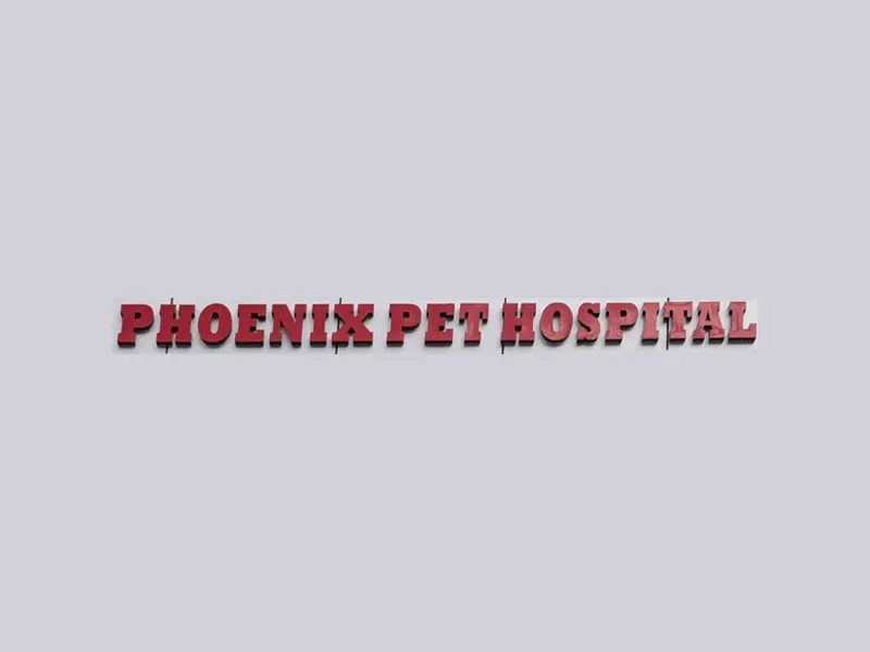 PHOENIX PET HOSPITAL