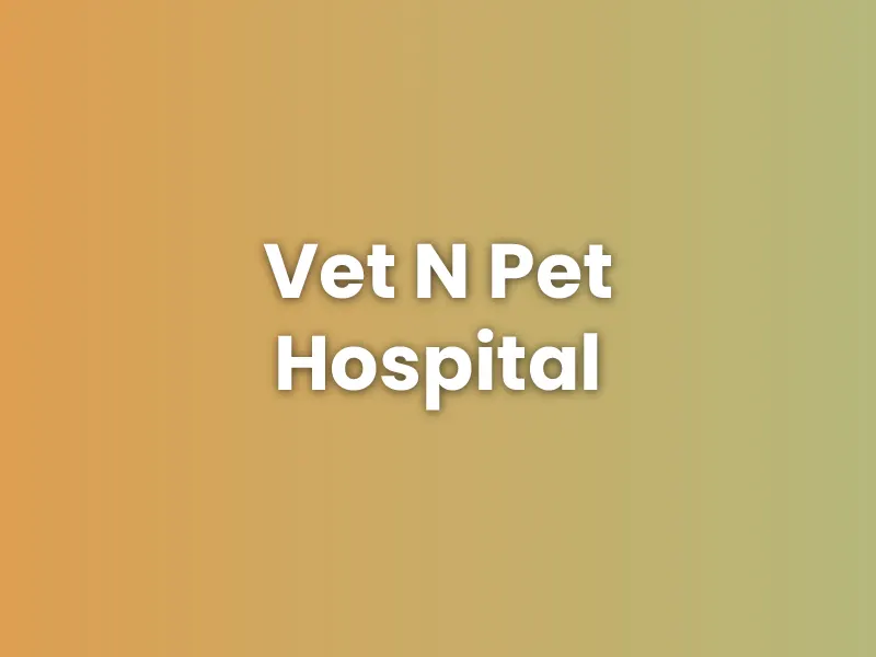 Vet N Pet Hospital