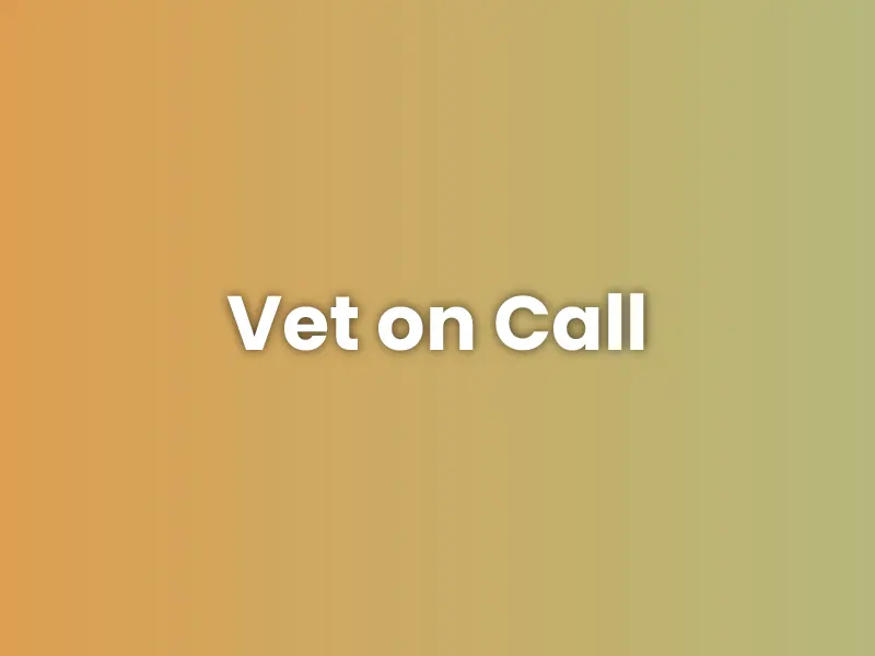 Vet On Call