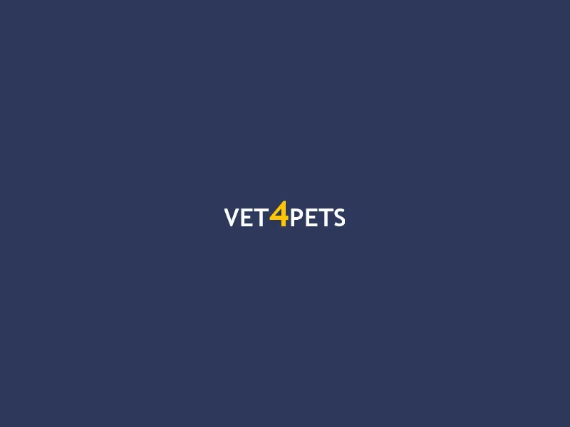 Vet 4 Pets