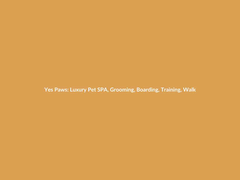 Yes Paws: Luxury Pet SPA, Grooming, Boarding, Training, Walking